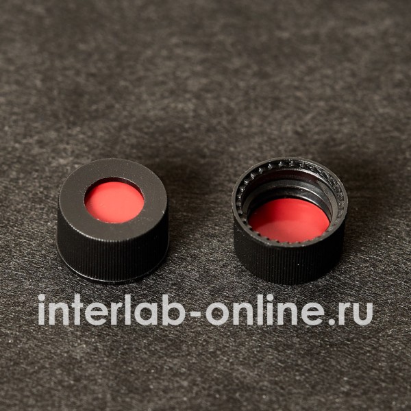ilcspt13 100 600x600 1.jpg