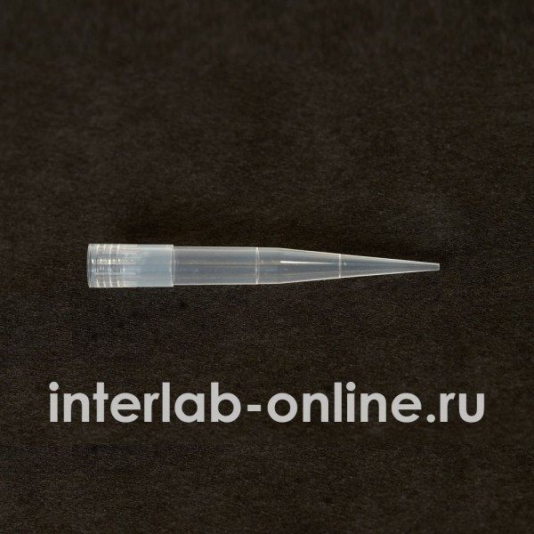 mt ii 1 600x600 1.jpg