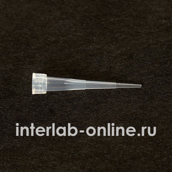 mtsp 1 600x600 1.jpg
